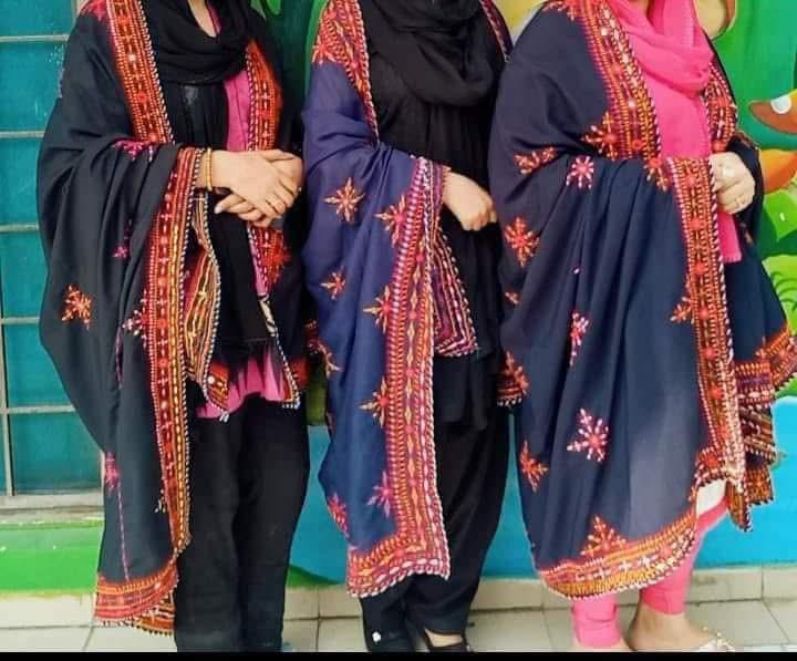Fancy Balochi Four Side Heavy Border Needle Handwork Ladies Chadders